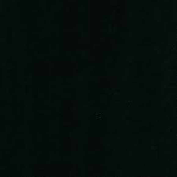 Meet your Posher, L - Picture 1 of 1